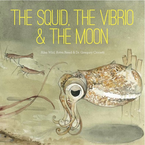 squid vibrio book cover